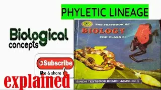 phyletic lineage class 11  what is ancestor to descendant link  FSc biology urdu lecture  sindh text