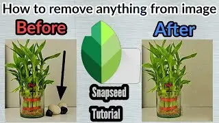How to remove anything from a photo | Using Snapspeed