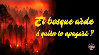 El bosque arde ¿quién lo apagará?