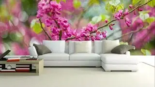Free Virtual Studio Set TV Background HD Green Screen 