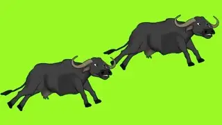 #green