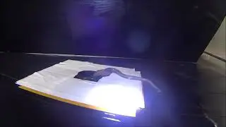 Feel the light: sight-independent negative phototactic response in octopus arms