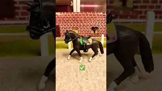 🚫✅#schleich #horse #fyp #yes #no #animals #viralvideos