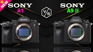 SONY Alpha A1 vs SONY Alpha A9 II