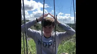 A Student's Experience at MiraCosta