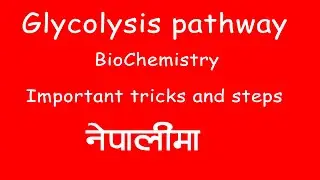 Glycolysis Biochemistry - Important points and steps || Easy Glycolysis trick