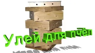 Профессор Кашковский: Требования к улью с точки зрения удобства для пчел