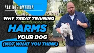 SLC Dog Owners- Why Treat Training Your Dog is Wrong But Food Training is Right