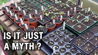 Do seeds really go out of date?? Lots of updates!