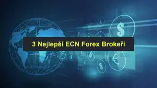 3 Nejlepší ECN Forex Brokeři | Žebříček Nejlepších Forex Brokerů | 0502