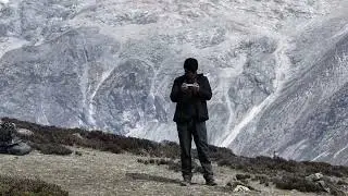 旱地拔葱