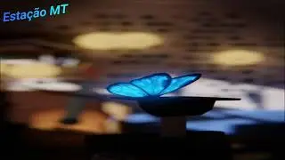 James TW - Butterflies  [Tradução]