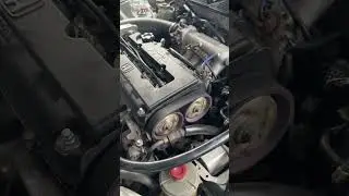 EG Storys B16+b20 Sound 
