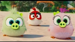 Angry birds blues diving space (part 1)