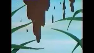 Porn kangaroo pooping and fallen explosion poop