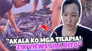 GANITO PALA MAG HARVEST NG PANTAT‼️SA PUTIK PALA SILA NABUBUHAY/A day in mylife Mama Sha #dailyvlog
