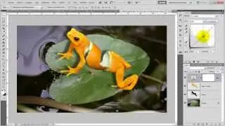 Como crear un fotomontaje en photoshop