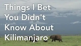 Things I Bet You Didn't Know About Kilimanjaro
