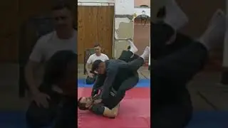 #bujinkan