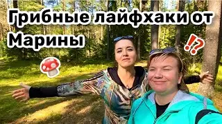 🍄 12. Грибные лайфхаки от @LadyMary555. Почему мы поехали в лес, а не пошли по музеям?