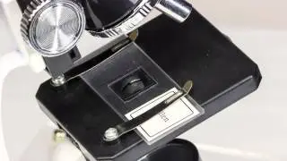 Celestron 28 Piece Microscope