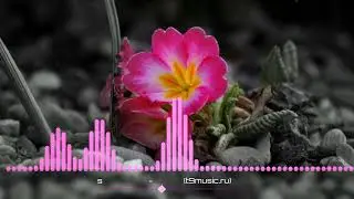 Грустный нашид-Мавлая къад😔   #нашиды