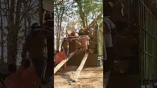super hero in real life #woodworking #russia #america #korea #india #japan