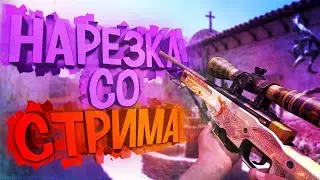[смешные моменты #1] О а вот это бан чучело.