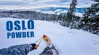 OSLO POWDER / StaleLiFE