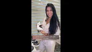 👉🏻 Você conhece o Fotona?Neste vídeo, eu explico direitinho o que é e como funciona o aparelho.