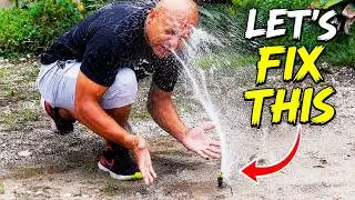 Fixing a Broken Sprinkler Head | EASY DIY