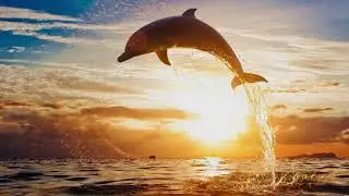 Demented Sound Mafia - I Feel The Most Alive - Song Mix (Epic Music)