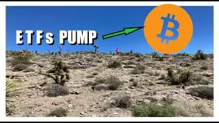 20X Bitcoin - Will ETFs Continue To PUMP The Market??