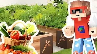 КУПИЛИ КУЧУ ТЫКВ ПОДПИСЧИКИ НА ГРЯДКАХ! ФЕРМА ДИОКСИДА #2