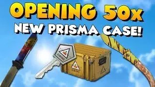 50x NEW PRISMA CASE OPENING! 😎