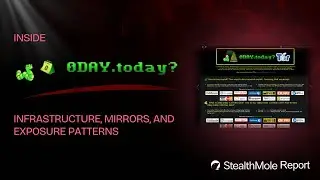 Inside 0Day Today: Mapping a Legacy Exploit Platform Across the Web | StealthMole Report