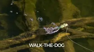 Swimming Action: Terminator Popping Frog