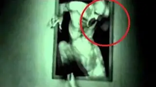 Top15s Top 15 Most Dangerous SCP Creatures - REACTION