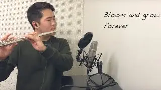 Edelweiss from Sound of Music - Flute Cover
