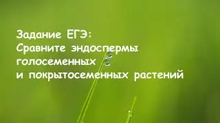Задание ЕГЭ: сравнить эндосперм голосеменных и покрытосеменных растений