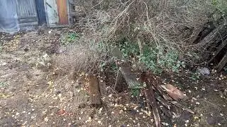 Дача больше не бомжарня! Вывезли мусор ))