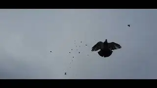 30 ноября 2022 г.