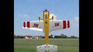 AFPD EXFC 2009