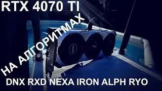 RTX 4070 TI НА РАЗНЫХ АЛГОРИТМАХ | NEXA DYNEX RADIANT ALPH RYO