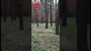 Хахоллл Сдавайся😂😂😂😂 Ахмат Сила. Дешайтанизация😁