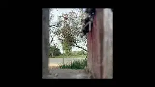 Yung Bans - Eye to Eye (Slowed & Reverb) (Highest Quality)