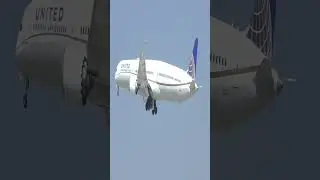 🔴 UNITED Plane Spotting LAX Los Angeles International Airport