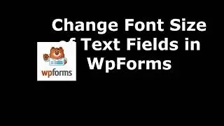 Method to Alter Text Fields Font Size in WpForms