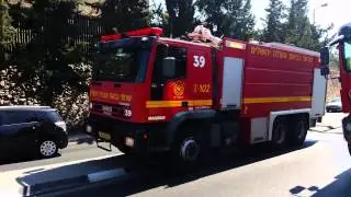 ON SCEIN  OF A FIRE FOREST