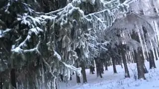 Морозы жестокие в этом году. А прогуляться надо, а потом у печки посидеть...